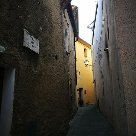 La Casa Di Nanni Lägenhet Rapolano Terme Exteriör bild